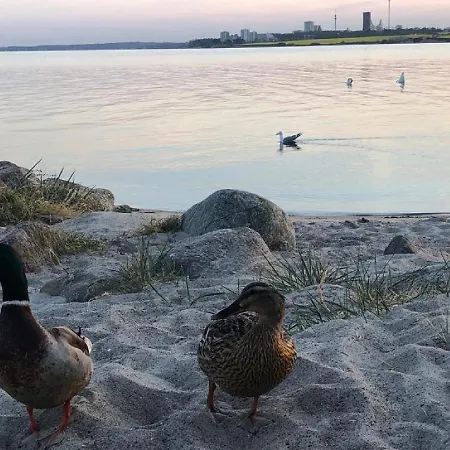 Ostseecamp Luebecker Bucht Meeresbrise *
